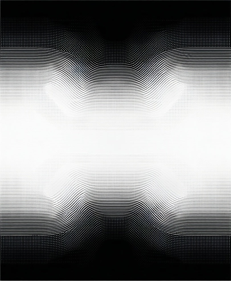 Abstract Black White Gradation Rug