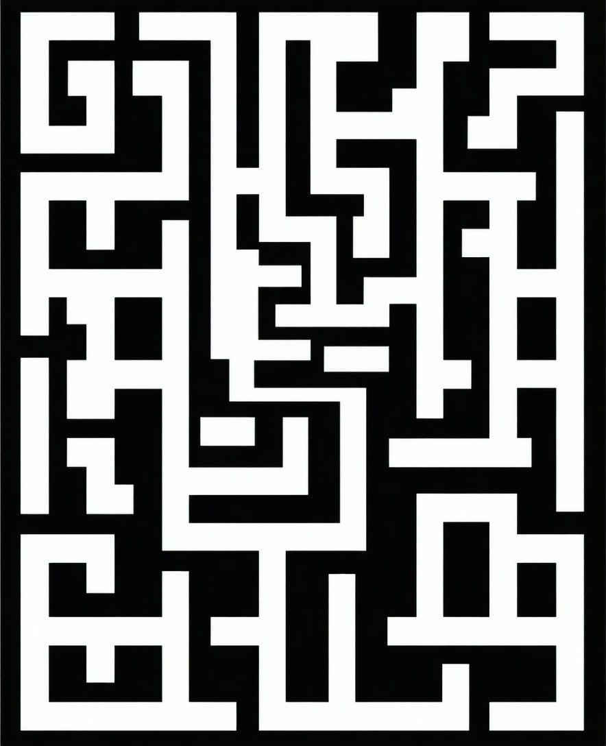 Abstract Black White Maze Pattern Rug